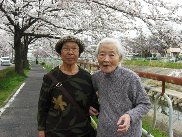 散歩 散歩